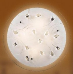 Настенно-потолочный светильник СОНЕКС белый (BS000922858)