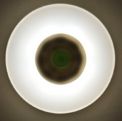Декоративный светильник СТАРТ белый ()